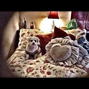 Meet your Posher, Tammy